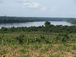 Vendo 4 fazendas em nono aripuanâ-amazonas,direto com propietário